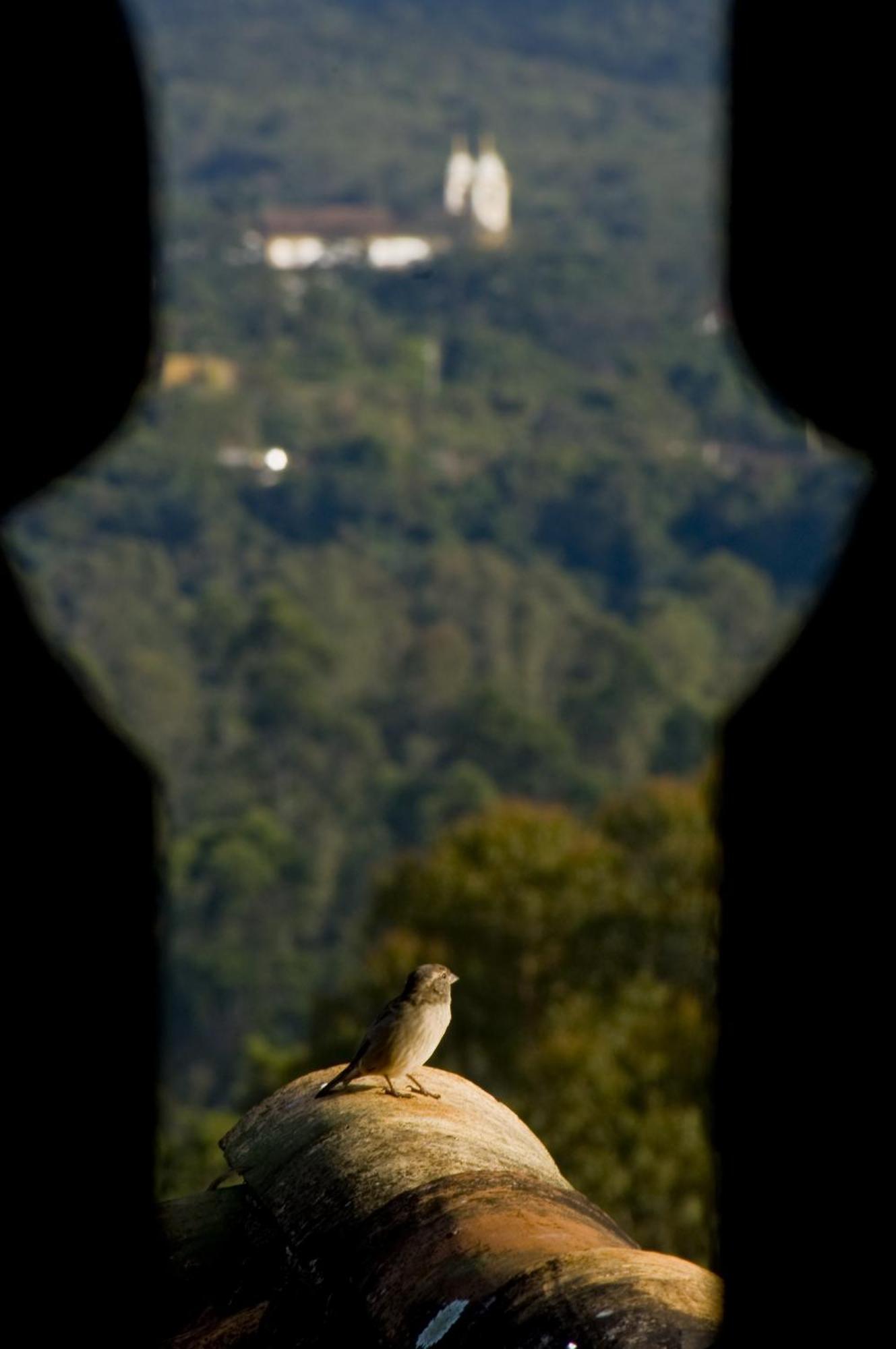 Pouso Da Torre Hotel Tiradentes Buitenkant foto